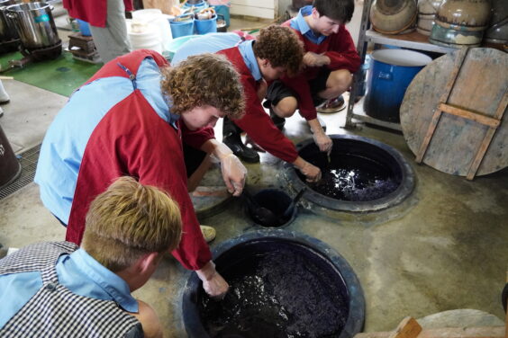 藍染体験の様子3